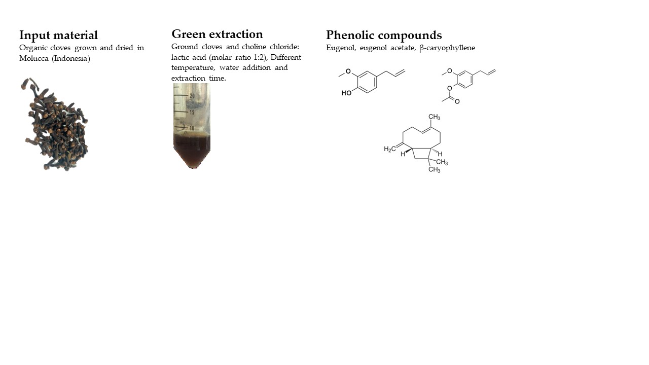 Choline Chloride Lactic Acid as a Green Solvent for the Extraction of