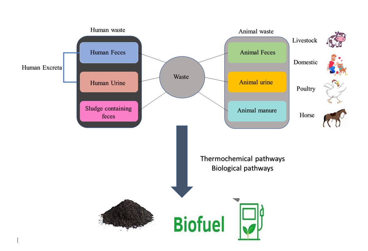 Pathways for the Valorization of Animal and Human Waste to Biofuels,  Sustainable Materials and Value-Added Chemicals[v1] | Preprints