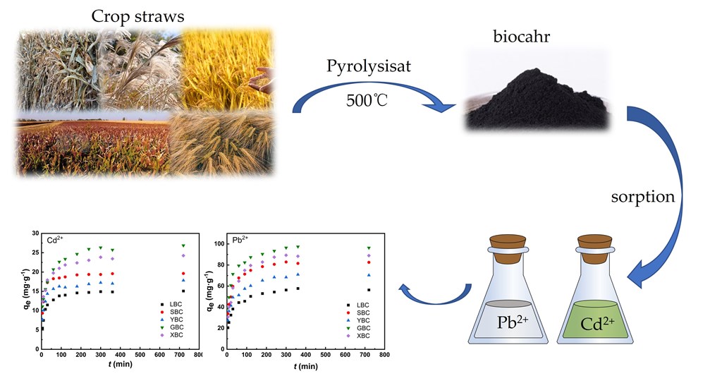 Capacity and Mechanisms of Pb(II) and Cd(II) Sorption on Five Plant
