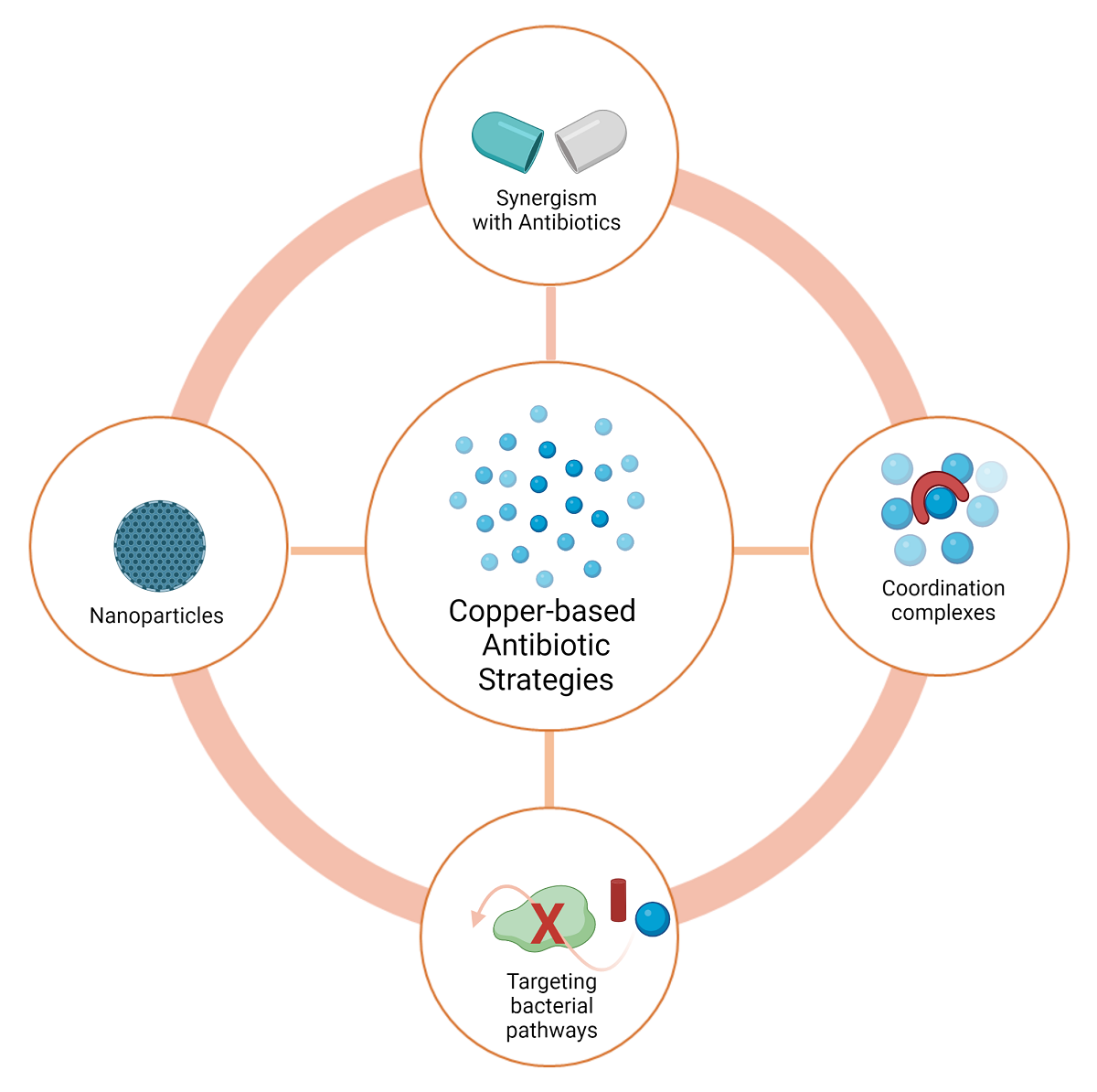 Copper Based Antibacterial Compounds Potential Targeting Pathways and