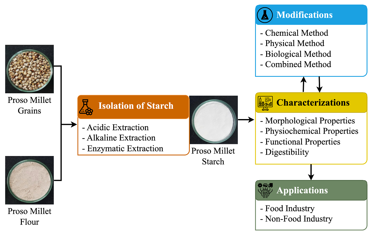 A Review on Isolation, Characterization, Modification, and Applications