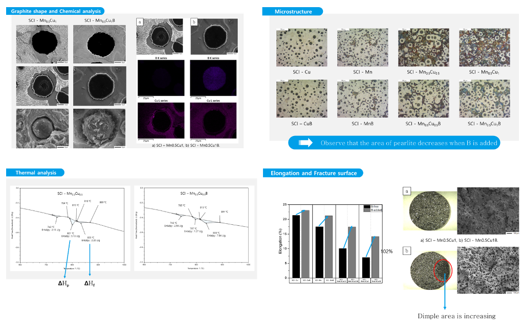 The Effect of Boron (B) on the Microstructure and Graphite Morphology