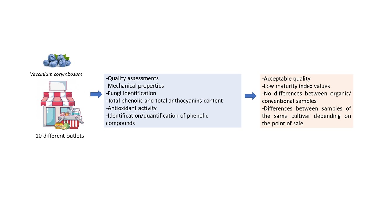 Do the Blueberries We Purchase in Different Outlets Have Acceptable