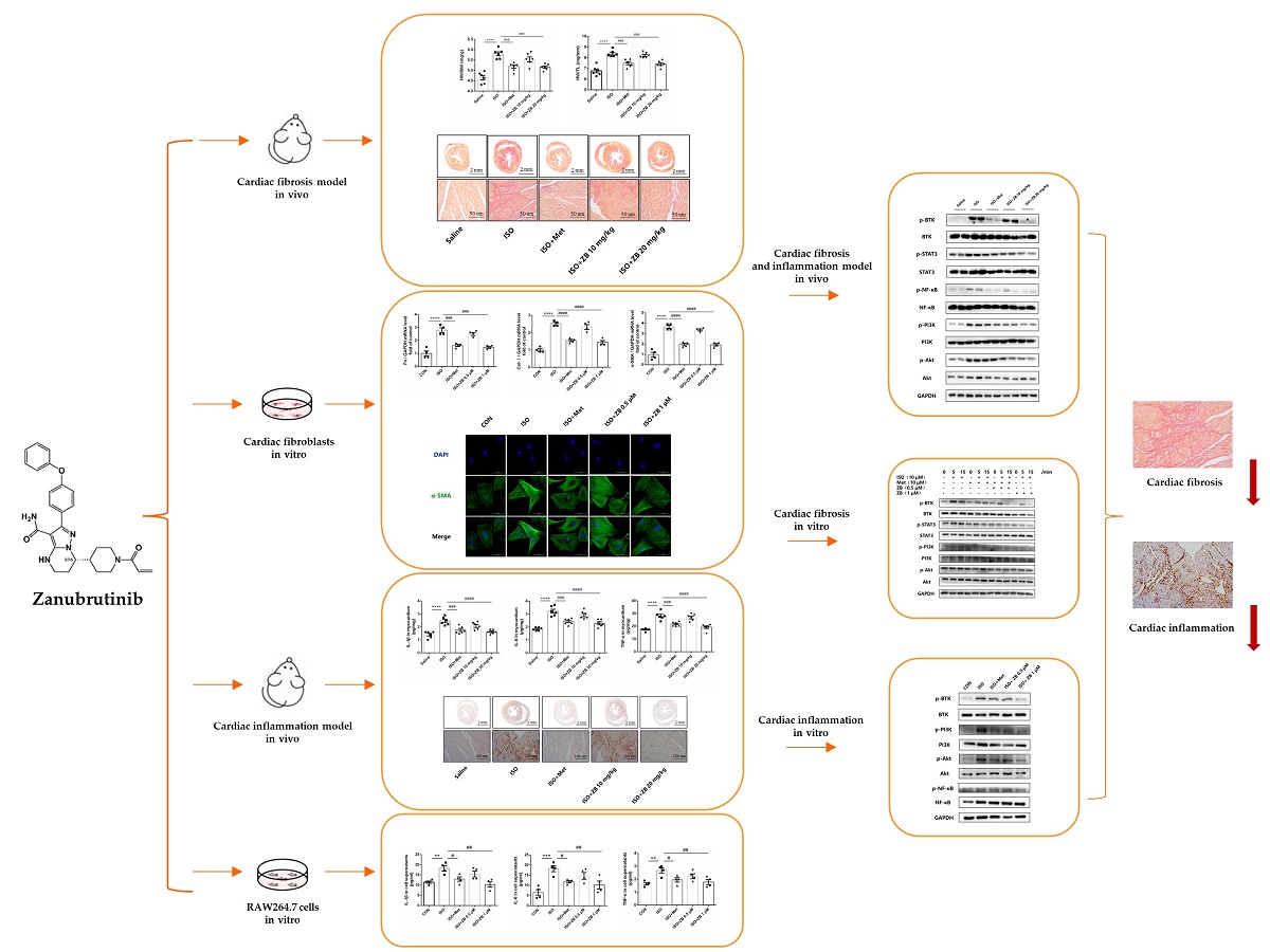 Semiology of Graphics: Diagrams, Networks, Maps