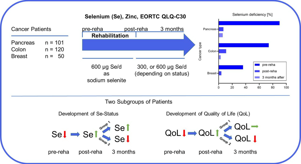 Selenium in Cancer Rehabilitation A Retrospective study from a Specialized Clinic[v1