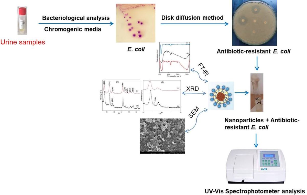 Cobalt Iron OxideConjugated Tin Oxide for Antibacterial
