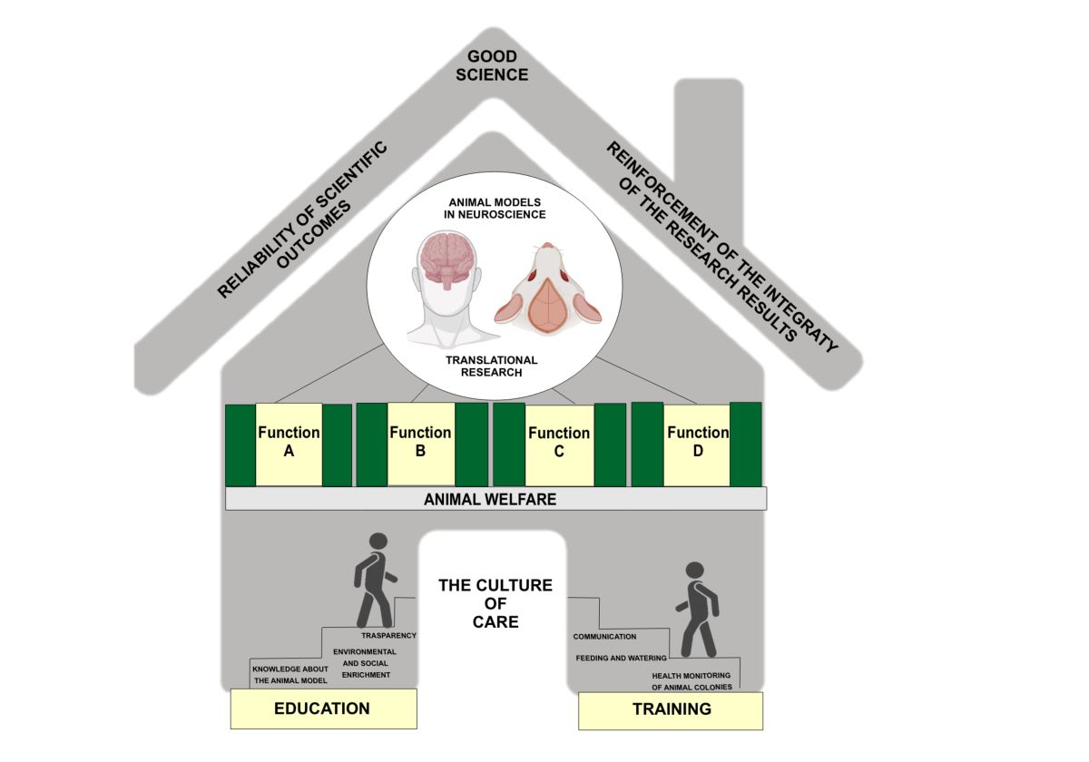 Animal Models in Neuroscience What “Culture of Care”?[v1]