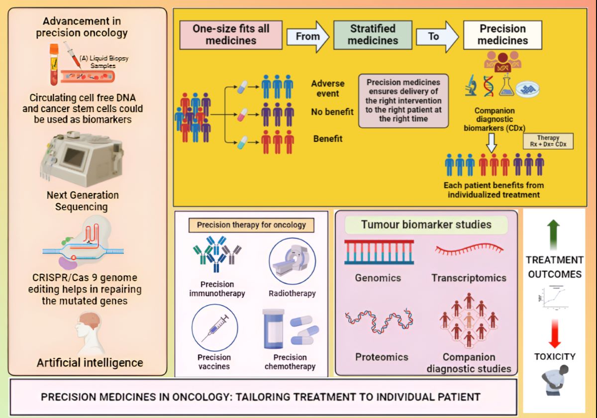 The Precision Medicine: Advancement and Transformation in Cancer ...